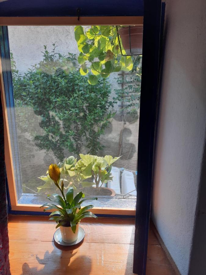 Casa Anca Cheile Nerei Villa Socolari Bagian luar foto