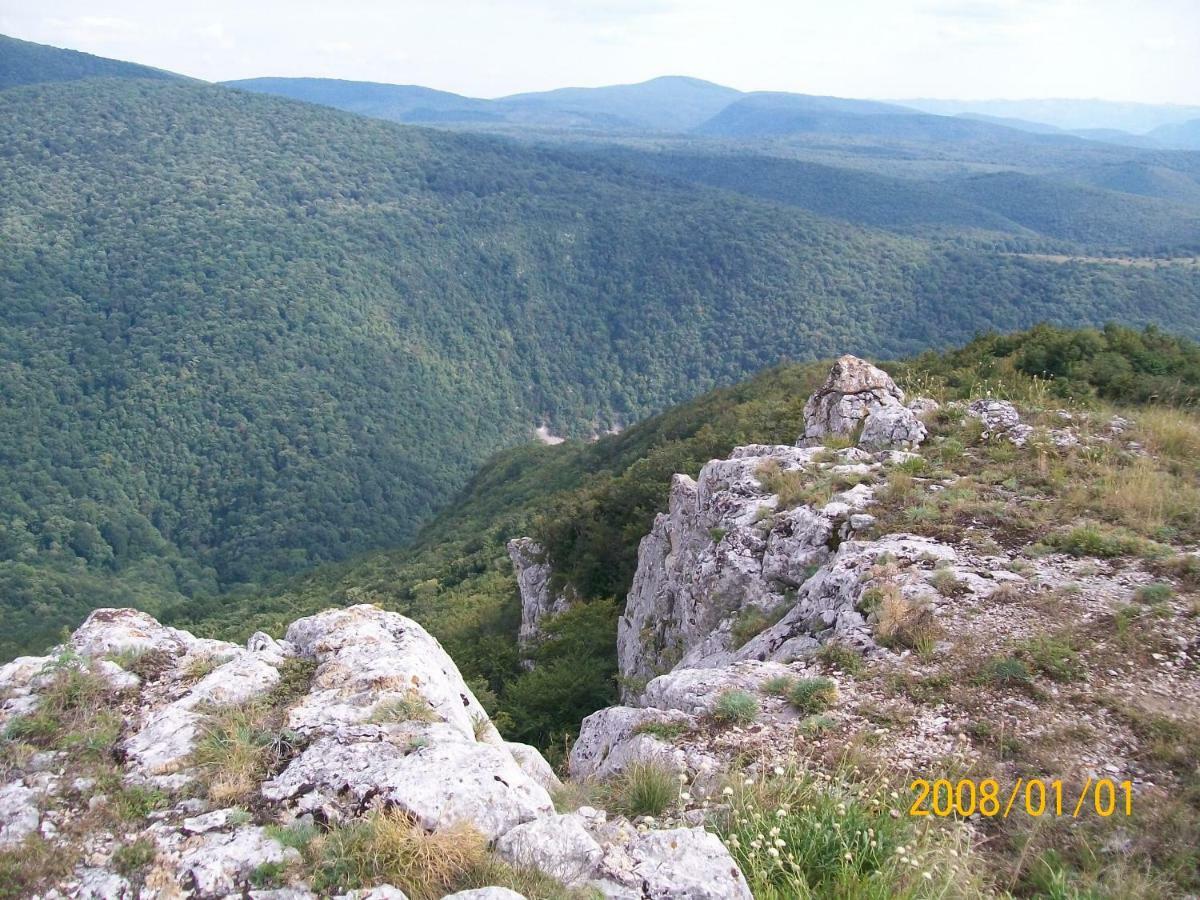 Casa Anca Cheile Nerei Villa Socolari Bagian luar foto
