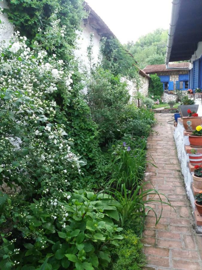 Casa Anca Cheile Nerei Villa Socolari Bagian luar foto