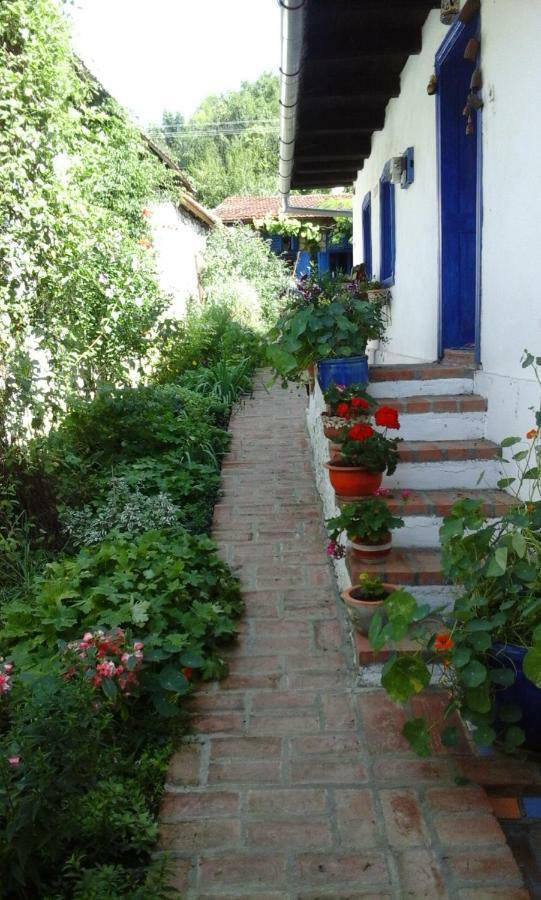 Casa Anca Cheile Nerei Villa Socolari Bagian luar foto