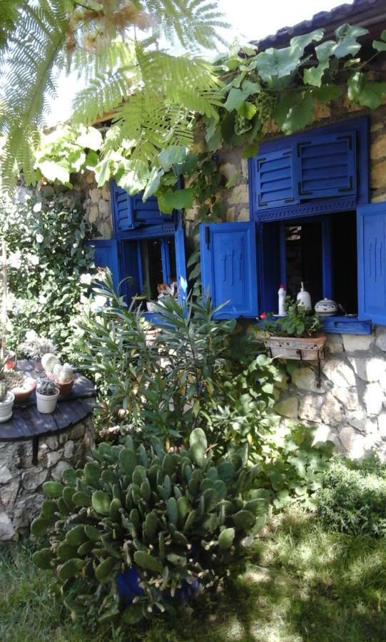 Casa Anca Cheile Nerei Villa Socolari Bagian luar foto