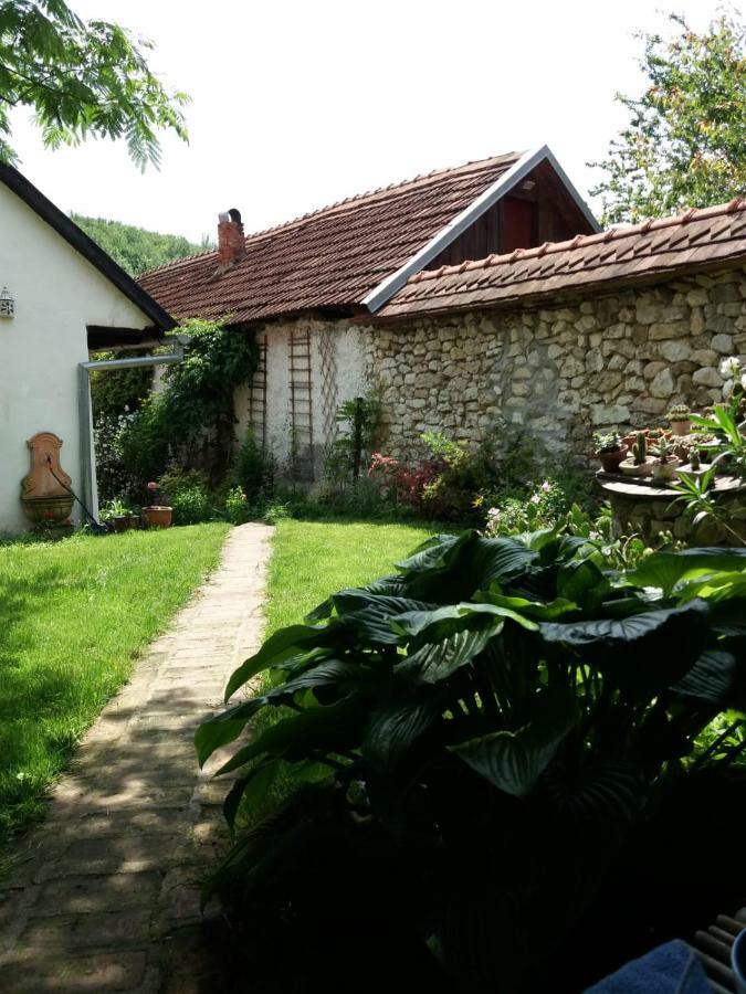 Casa Anca Cheile Nerei Villa Socolari Bagian luar foto