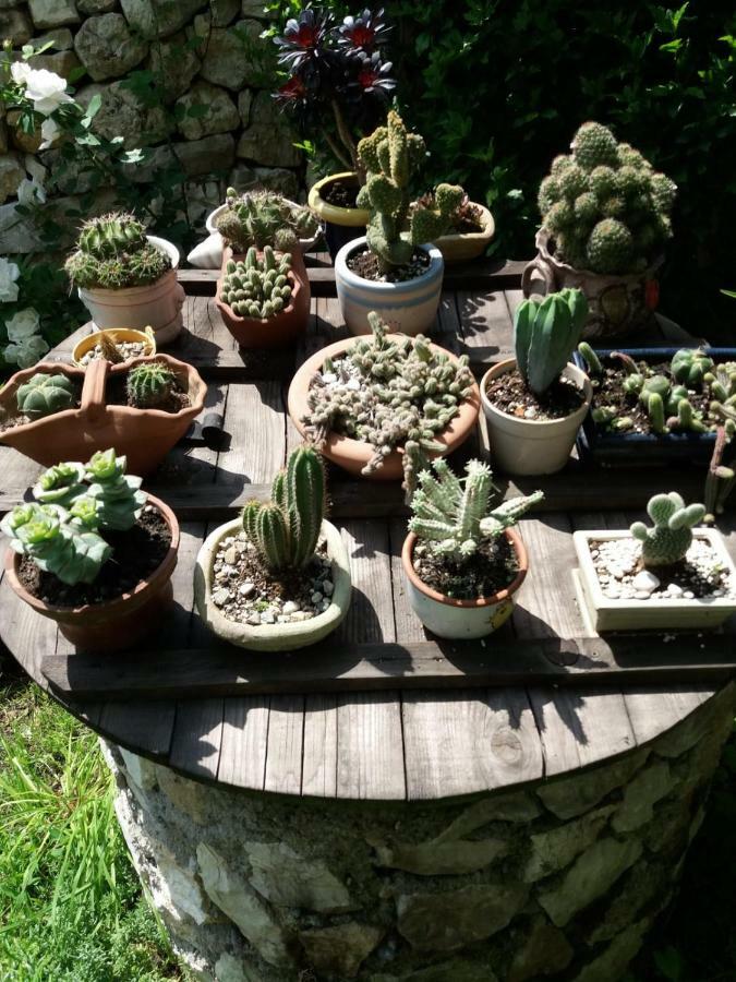 Casa Anca Cheile Nerei Villa Socolari Bagian luar foto