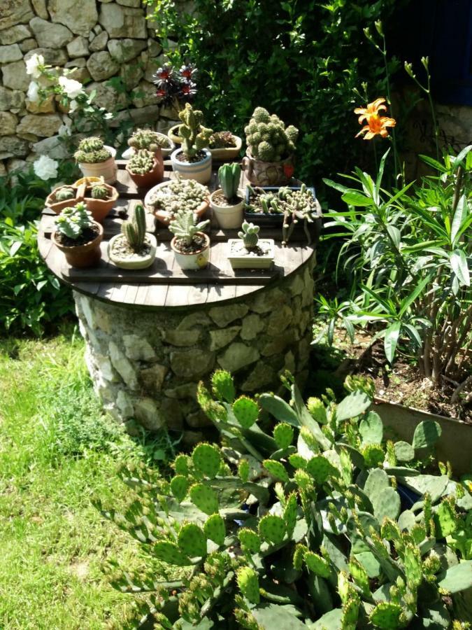Casa Anca Cheile Nerei Villa Socolari Bagian luar foto