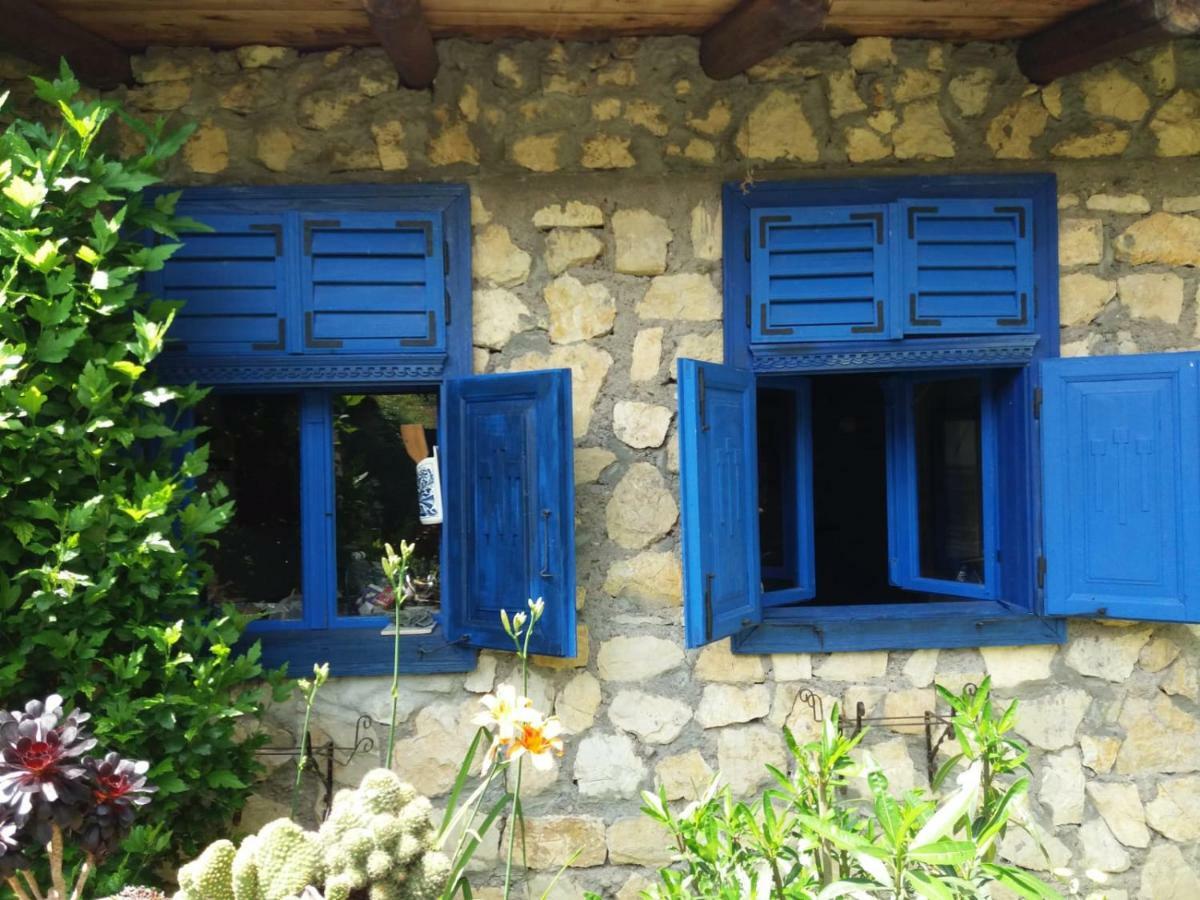 Casa Anca Cheile Nerei Villa Socolari Bagian luar foto
